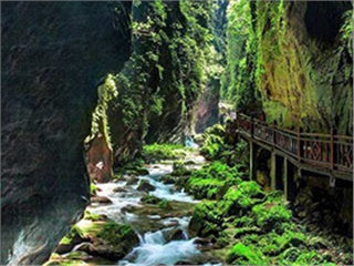 張家界旅游重大發(fā)現(xiàn)：無冬天更無夏天——朝陽(yáng)地縫景區(qū)